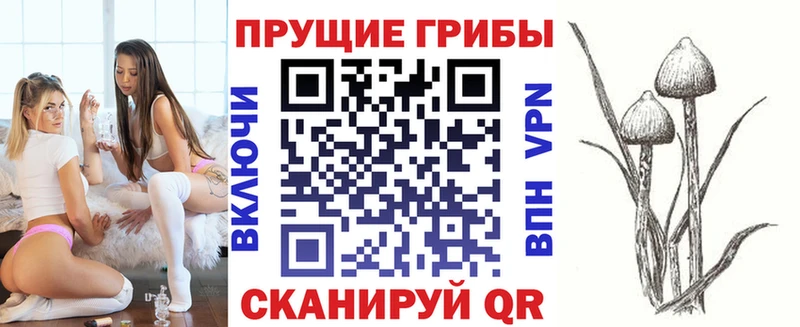 мега как зайти  Ермолино  Псилоцибиновые грибы GOLDEN TEACHER  наркотики 