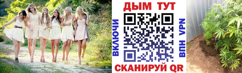Каннабис VHQ купить наркотики сайты Ермолино